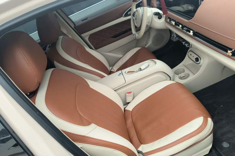 Used ORA Good Cat 2023 401 km Standard Range Luxury Version Ternary Lithium
