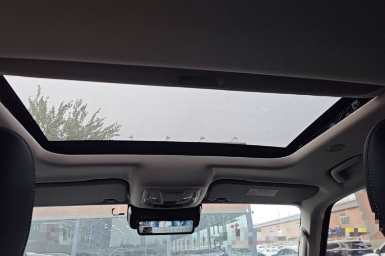 Used Tank 300 2023 City Edition 2.0T Essential Model
