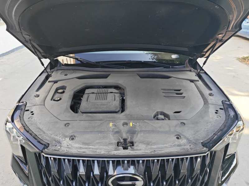 Used GAC Trumpchi GS8 2022 Dual-Engine Series 2.0TM Two-Wheel Drive Prestige Edition (7 Seats) — 19