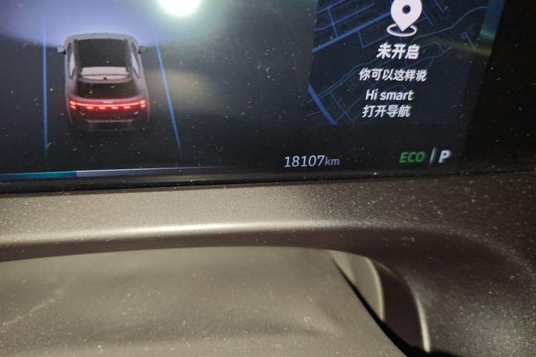 Used smart #5 2024 Jungle Realm Limited Edition