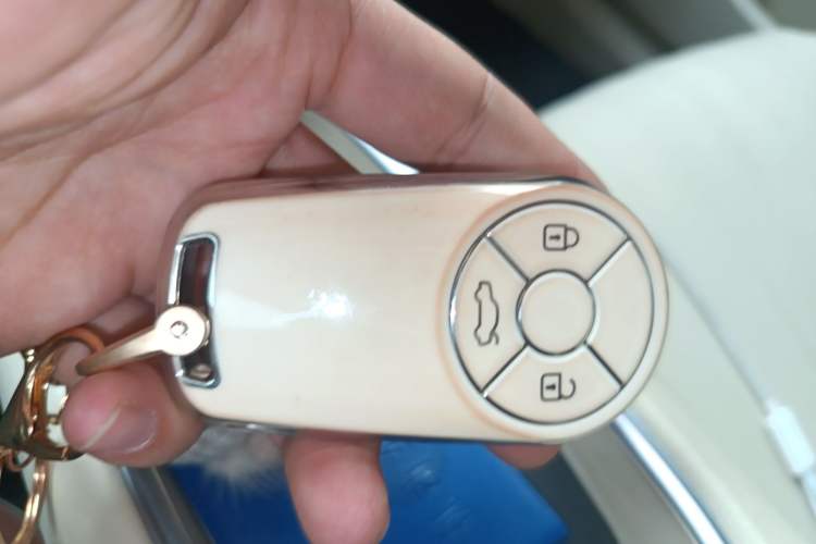 Used ORA Good Cat 2023 401 km Standard Range Luxury Version Lithium Iron Phosphate