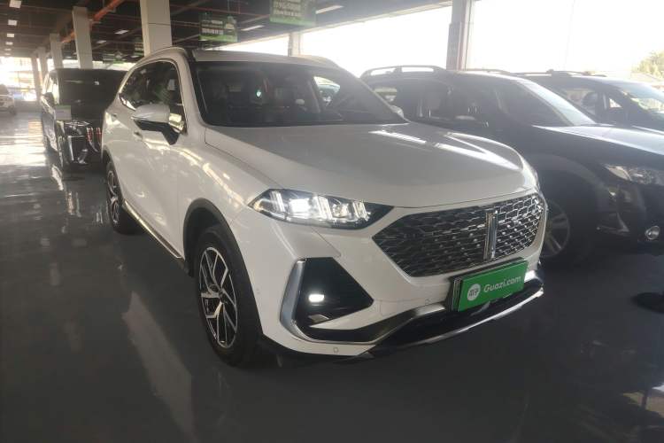 Used Wey Latte DHT-PHEV 2022 1.5T Four-Wheel Drive Extra-Large Version
