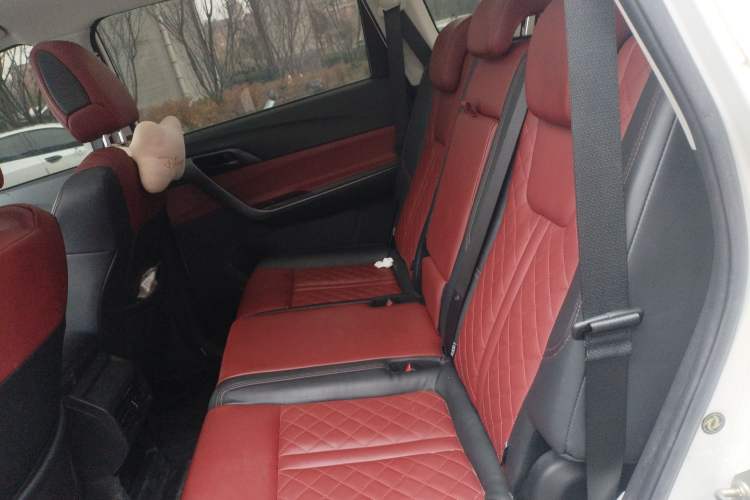 Used FORTHING T5L 2020 1.5T Automatic Luxury 7-Seater China VI Standard