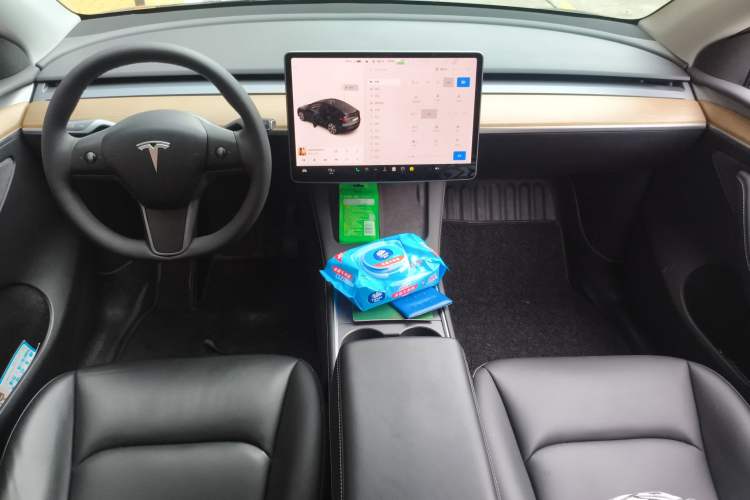 Used Tesla Model Y 2021 Standard Range Rear-Wheel Drive Version
