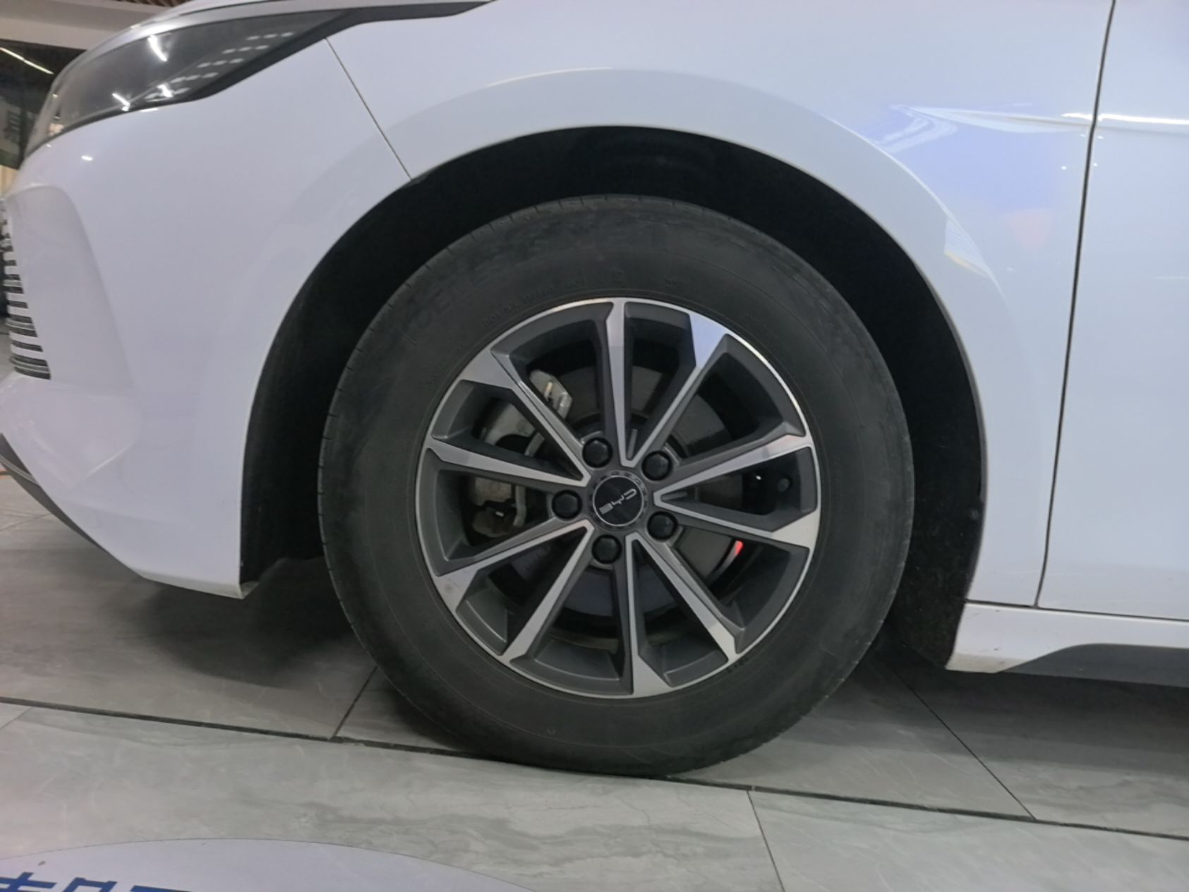 BYD Destroyer 05 2023 Champion Edition DM-i 55KM Luxury Model — снимка 10