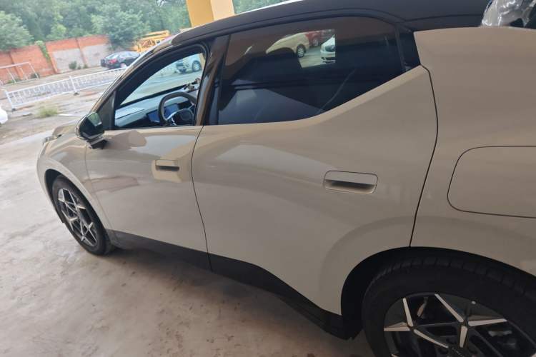 Used Lynk & Co Z20 2025 530 km Range Rear-Wheel Drive Pro