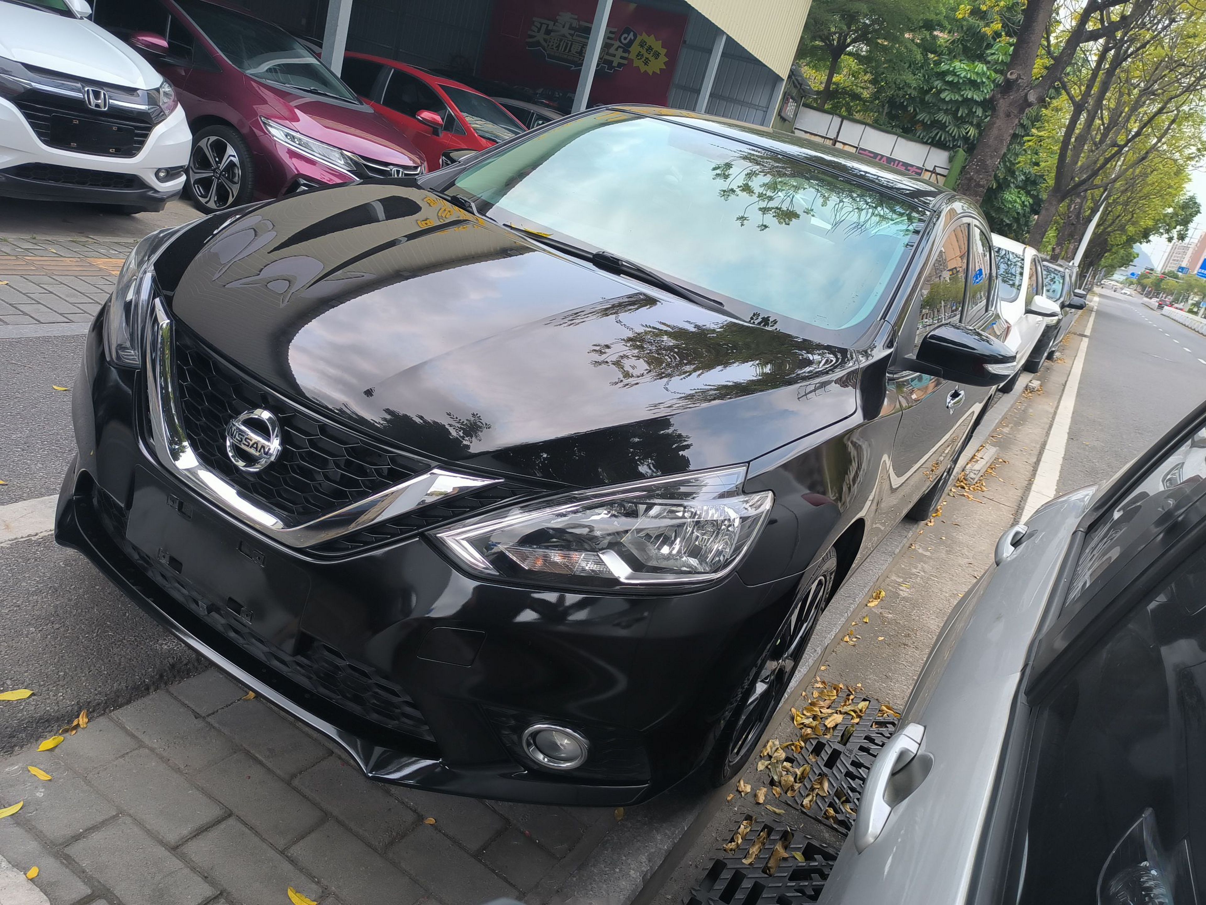 Parte inferior delantera