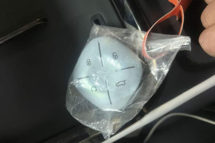 Used JETOUR Shanhai Shanhai L6 2024 1.5TD DHT MAX
