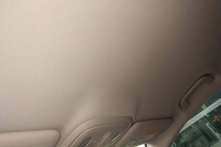 Used Leapmotor B10 2025 510 Comfort Edition Headliner