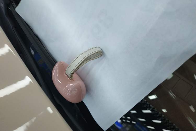 Used ORA Good Cat 2021 400km Standard Range Venus Edition Lithium Iron Phosphate Vehicle Key