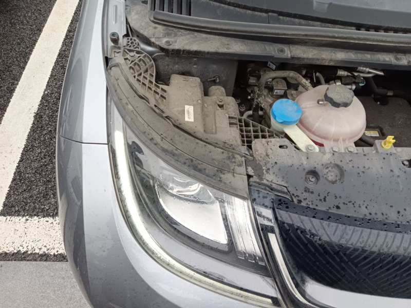 Used BYD Dolphin 2023 420 km Free Version — 22