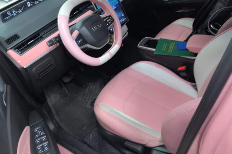 Used NETA V 2022 Chao 400 Lite Pink Custom Edition