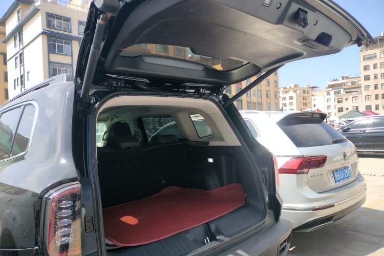 Used Haval DARGO 2024 2.0T DCT Chinese Rural Dog Edition
