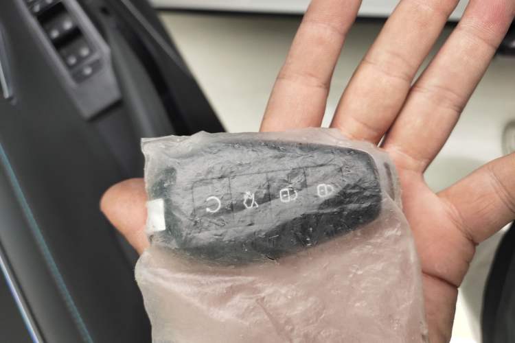 Used Denza N9 2025 Flagship Model