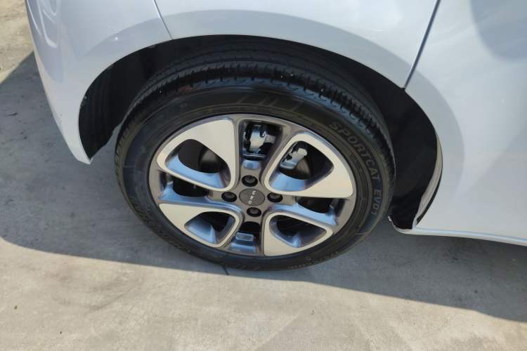 Used ORA White Cat 2020 305 km Luxury Version