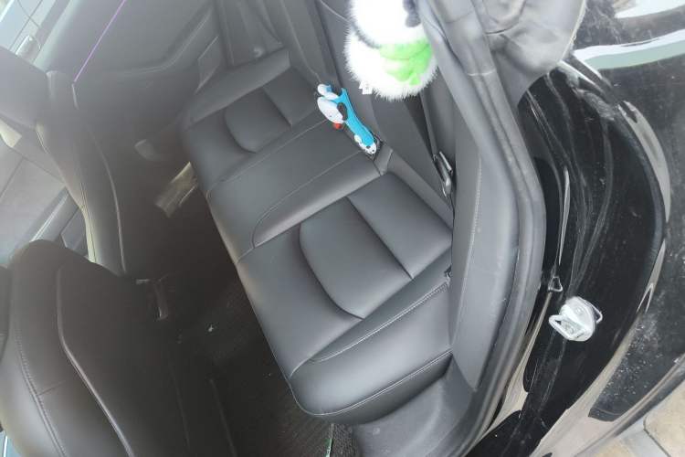 Used Tesla Model 3 2021 Standard Range Rear-Wheel Drive Upgraded Version 3D6
