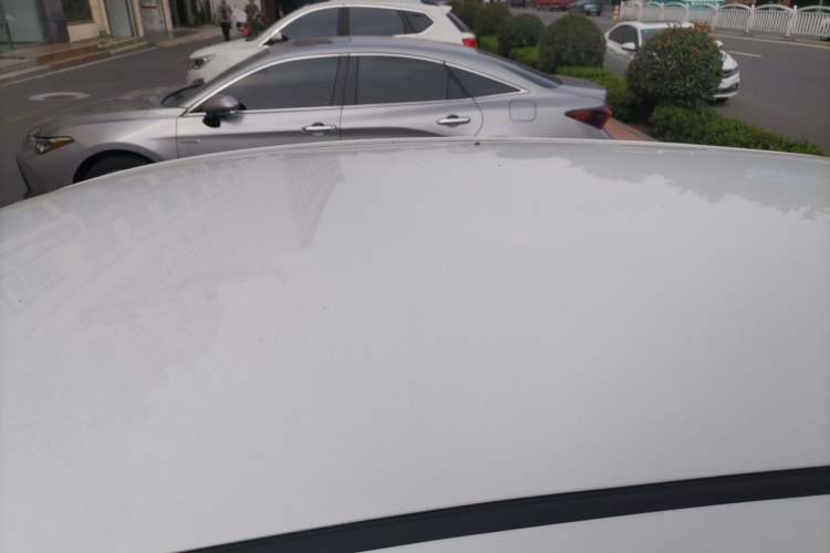 Used Geometry EX3 Kung Fu Cow 2021 Tough Bull Cow