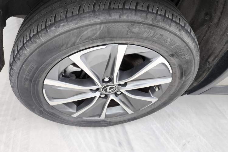 Used Lexus UX New Energy 2020 300e Pure·Enjoy Edition