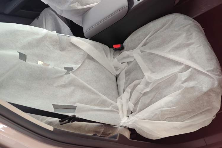 Used Geely Galaxy Geome 2025 310km Dream Edition Right Front Seat