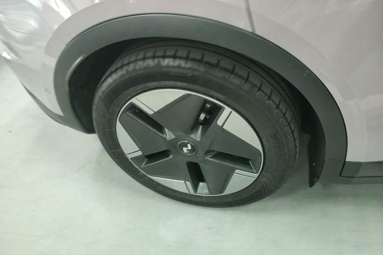 Used ONVO L60 2024 60 kWh Rear-Drive Version
