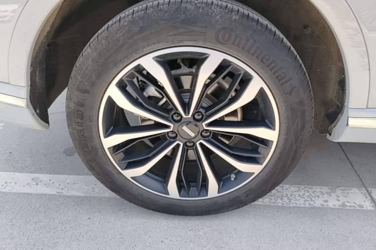 Used Wey Mocha 2021 2.0T Four-Wheel Drive Premium Edition