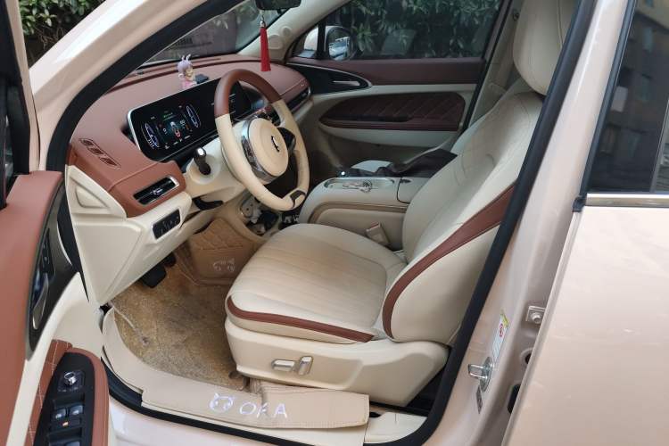 Used ORA Good Cat 2023 401 km Standard Range Luxury Version Lithium Iron Phosphate Driver Seat