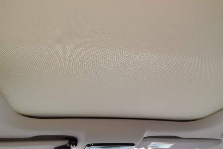 Used WM Motor EX5 2018 EX5 300 Lite Exploration Edition Headliner