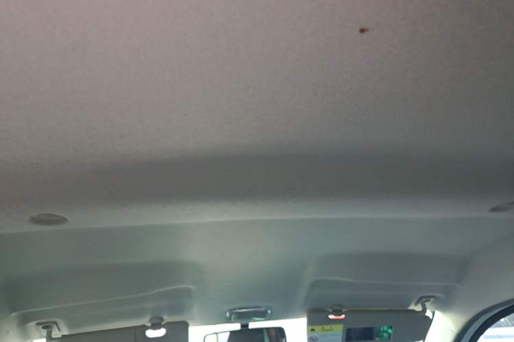 Used Dongfeng NAMMI EX1 2021 Zhi Ling Version