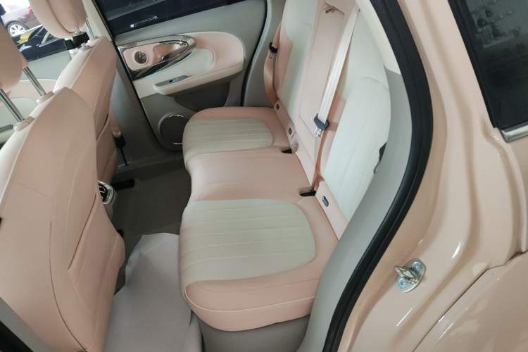 Used ORA Ballet Cat 2022 401 km Nutcracker Edition