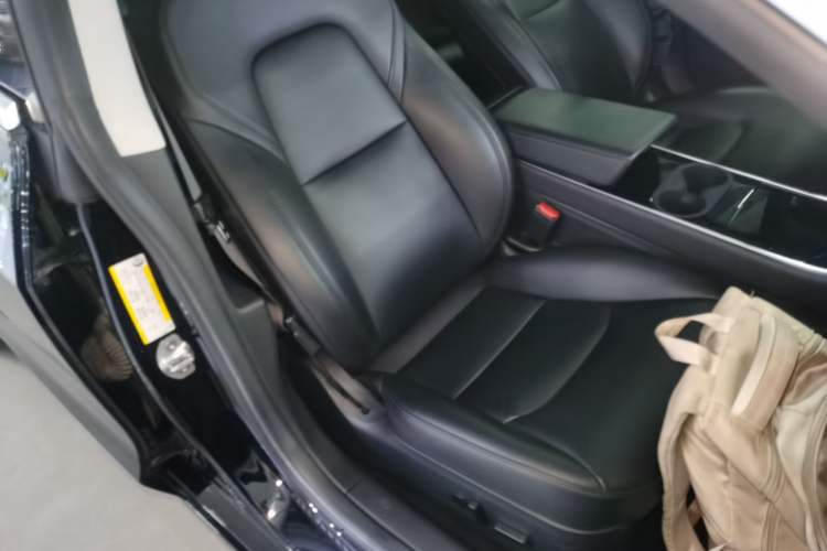 Used Tesla Model 3 2020 Standard Range Rear-Wheel Drive Upgraded Version
