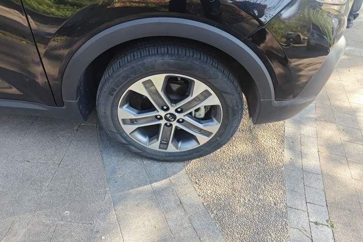 Used Kia Sportage R 2019 2.0L Automatic Smart Luxury Edition