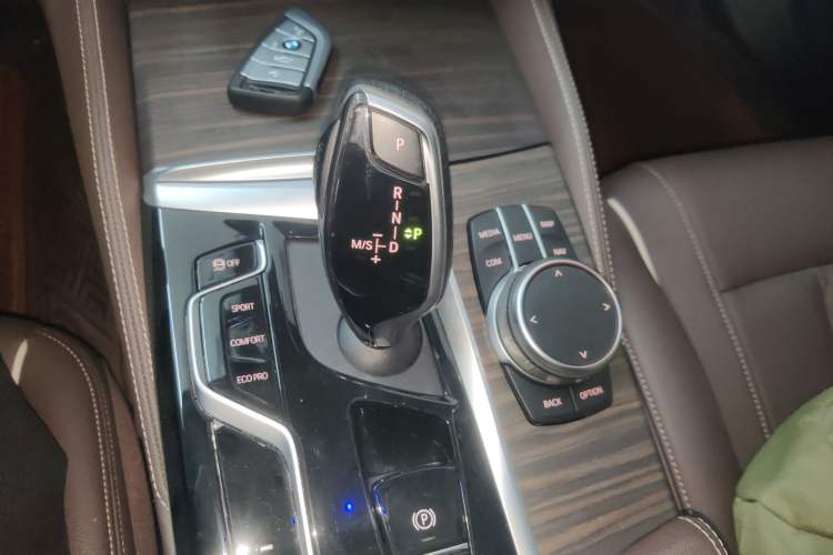 Used BMW 5 Series 2021 530Li Leading Luxury Package