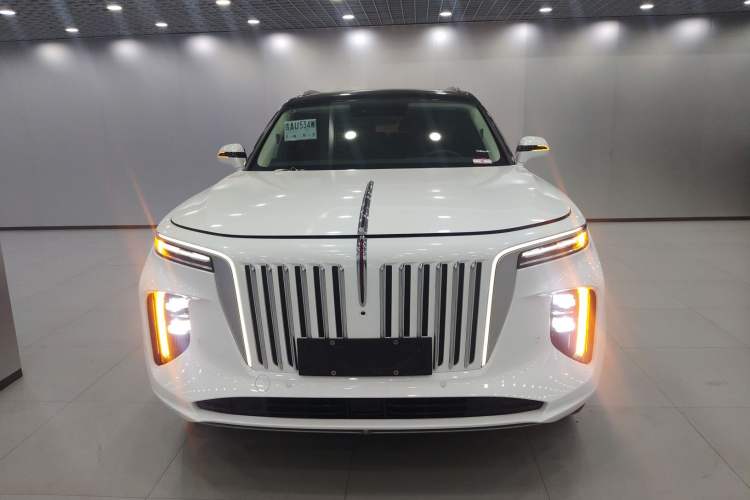 Used Hongqi E-HS9 2022 690 km Range Flagship Edition Six Seats Front