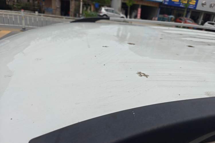 Used CHANGAN OSHAN CX70 2016 1.6L Manual Comfort Model