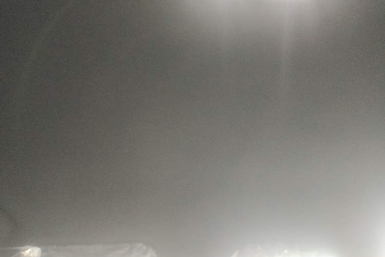 Used BYD Dolphin 2025 420km Free Edition