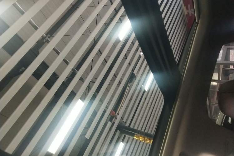 Used Lexus RX 2020 300 4x4 Elegant Edition China VI Headliner