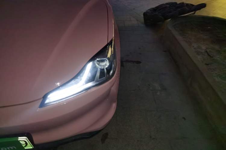 Used NETA V 2021 Witch Edition
