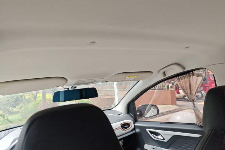 Used SOL E10X 2022 Flower Fairy Design Four-Leaf Clover