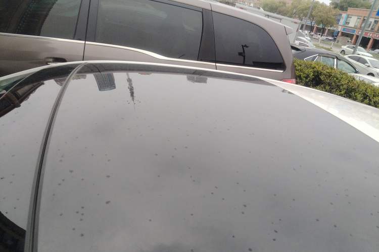 Used Volkswagen Polo 2021 Plus 1.5L Automatic Panoramic Enjoyment Edition Roof