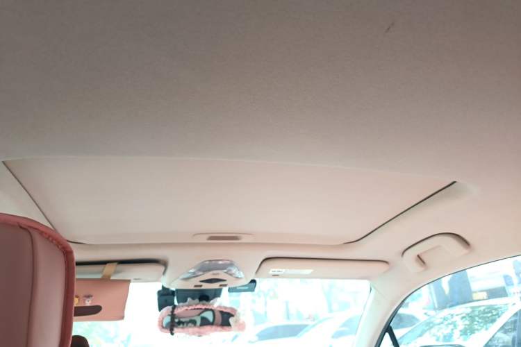 Used Toyota C-HR 2018 2.0L Leading with Sunroof China VI Standard Headliner