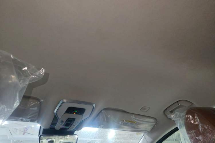 Used Hongqi HQ9 2023 2.0T Smart Connect Flagship Edition