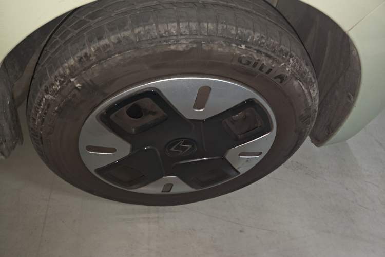 Used SOL E10X 2022 Flower Fairy Design Four-Leaf Clover