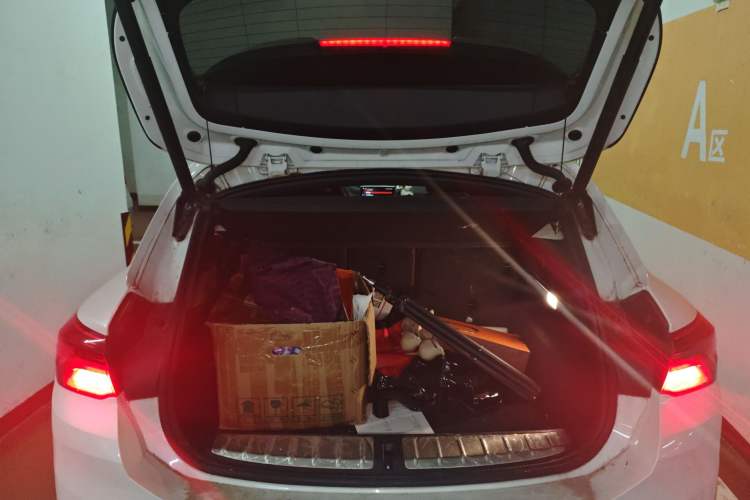 Used BMW X2 2020 sDrive25i Leading Model M Sport Package
