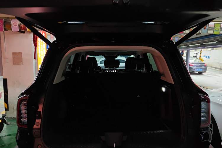 Used Haval DARGO 2024 2.0T DCT Chinese Rural Dog Edition
