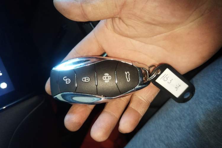 Used Hongqi HS3 2023 2.0T All-Wheel-Drive Youwei Version
