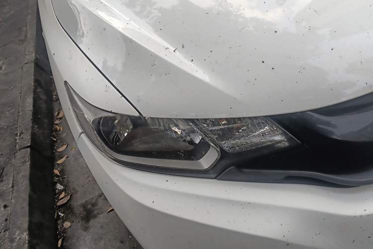 Used Honda Fit 2016 1.5L LX Manual Comfort Model Right Front Headlight