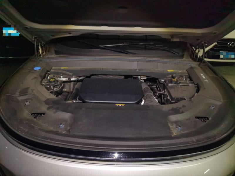 Used Li Auto L8 2024 Max — 10