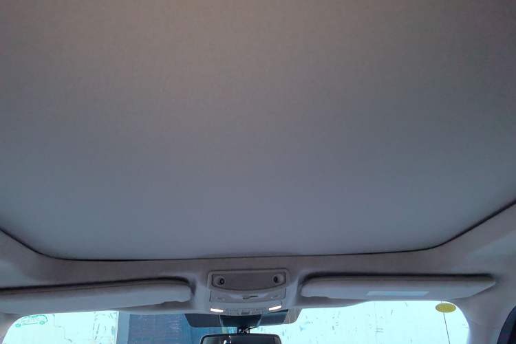 Used Ford F-150 Raptor 2019 3.5T LTD Headliner