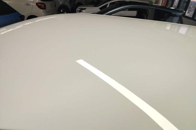 Used Qiyuan Lumin 2023 205km Xiangqin Version