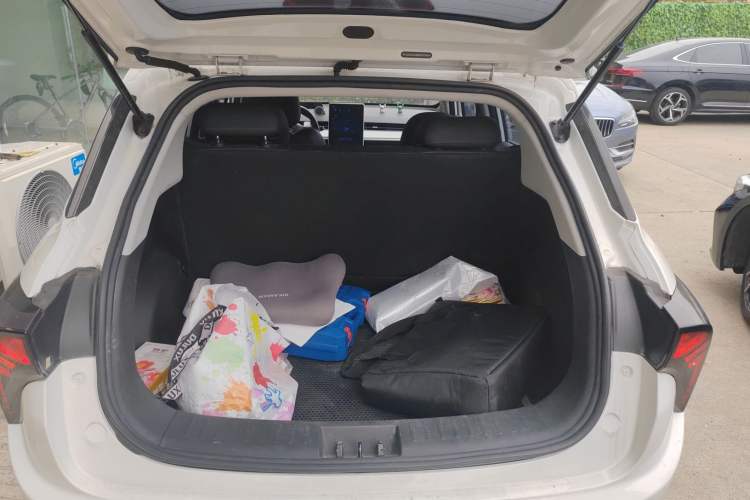 Used NETA V 2021 Long-Range Entertainment Edition Trunk